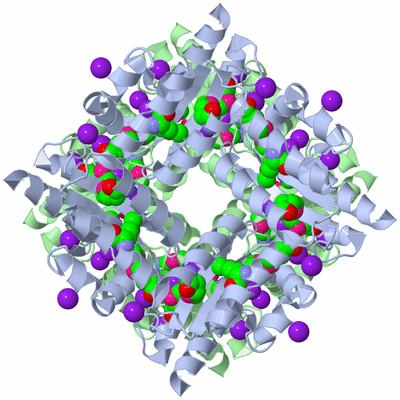 Image Biological Unit 1