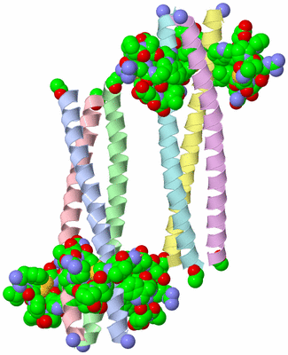 Image Asymmetric Unit