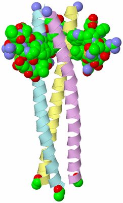 Image Biological Unit 2