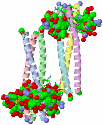 Image Asym. Unit - sites