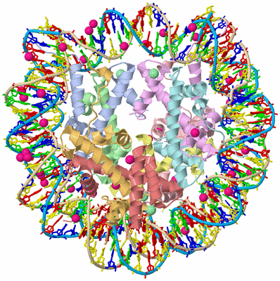 Image Asym./Biol. Unit