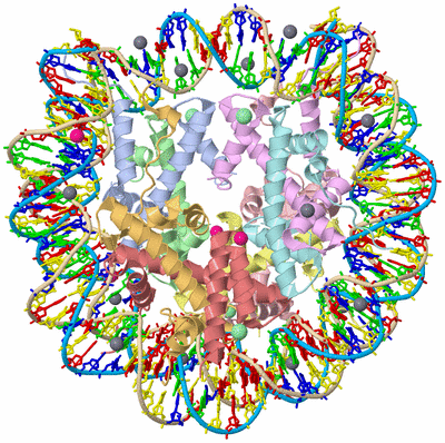 Image Asym./Biol. Unit