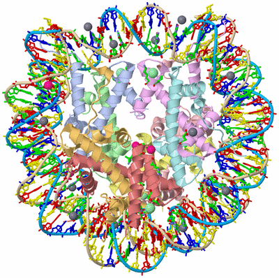 Image Asym./Biol. Unit - sites