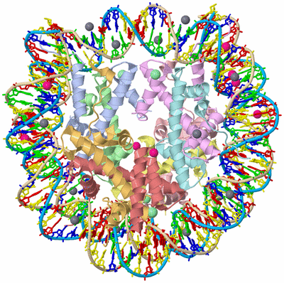 Image Asym./Biol. Unit