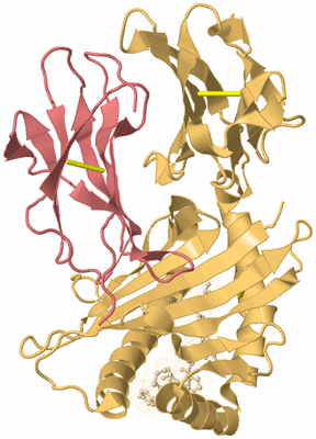 Image Biological Unit 3