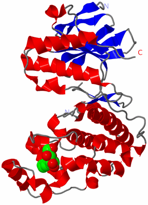 Image Asym./Biol. Unit