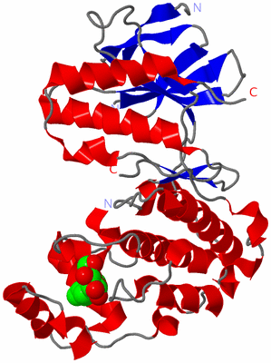 Image Asym./Biol. Unit