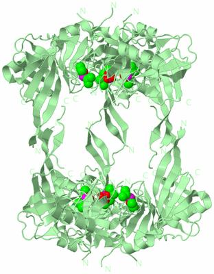 Image Biological Unit 2