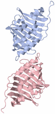 Image Asymmetric Unit