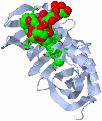 Image Biol. Unit 1 - sites