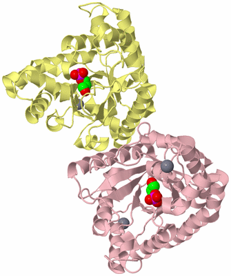 Image Biological Unit 2