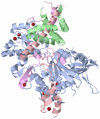 Image Asym./Biol. Unit