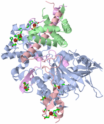 Image Asym./Biol. Unit - sites