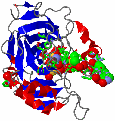 Image Asym./Biol. Unit - sites