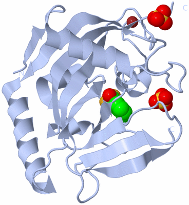 Image Biological Unit 1