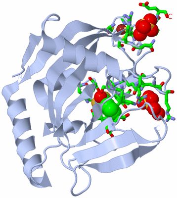 Image Biol. Unit 1 - sites