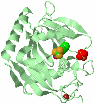 Image Biological Unit 2