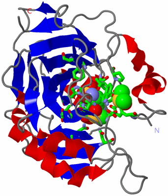 Image Asym./Biol. Unit - sites