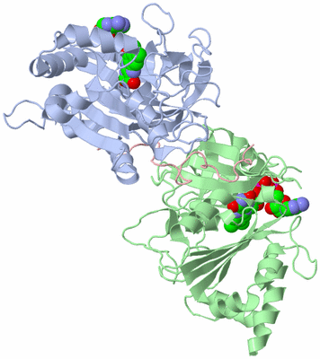 Image Asym./Biol. Unit