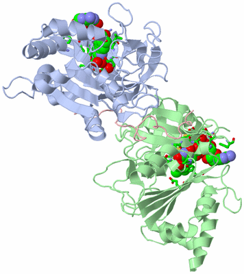 Image Asym./Biol. Unit - sites