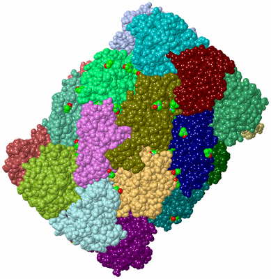 Image Asym./Biol. Unit