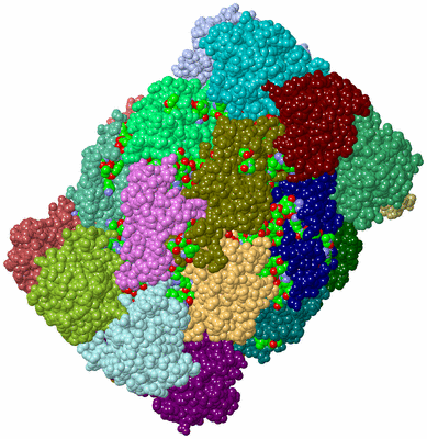 Image Asym./Biol. Unit - sites