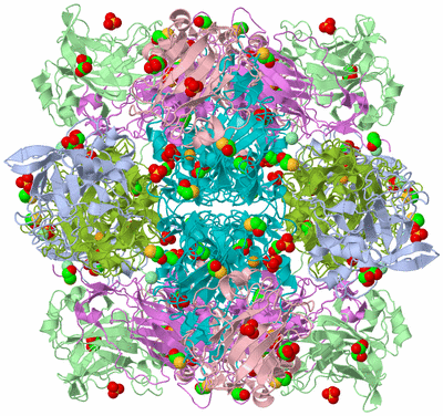 Image Biological Unit 1