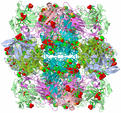 Image Biol. Unit 1 - sites