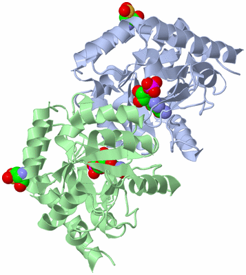 Image Asym./Biol. Unit