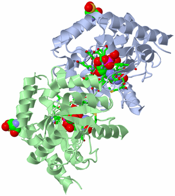 Image Asym./Biol. Unit - sites