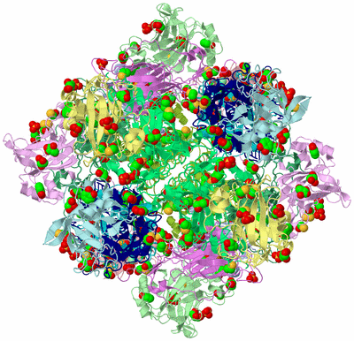 Image Biological Unit 1