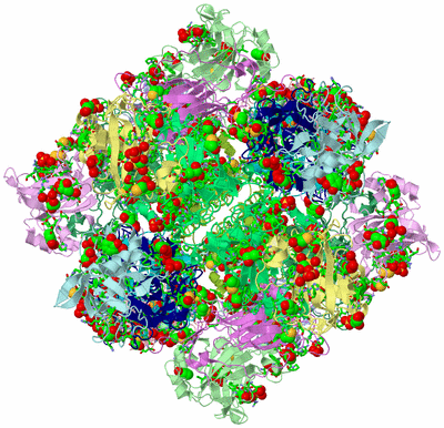 Image Biol. Unit 1 - sites