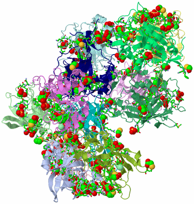 Image Asym. Unit - sites