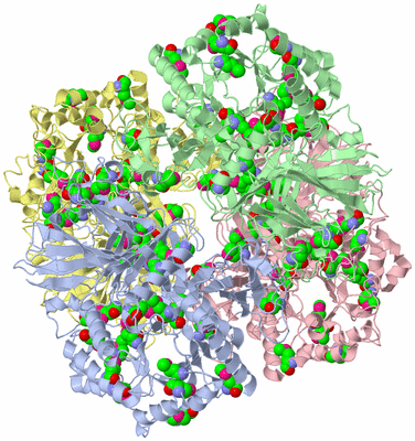 Image Biological Unit 1