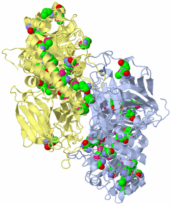 Image Biological Unit 2