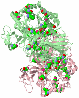 Image Biological Unit 3