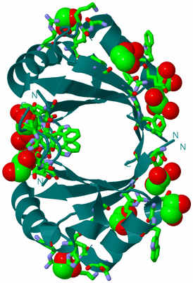 Image Biol. Unit 1 - sites