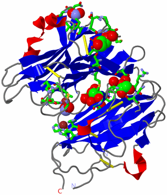 Image Asym./Biol. Unit - sites