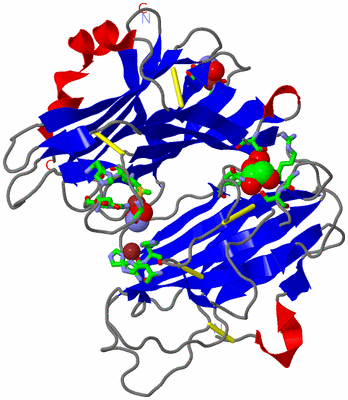 Image Asym./Biol. Unit - sites