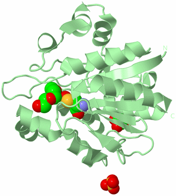 Image Biological Unit 3