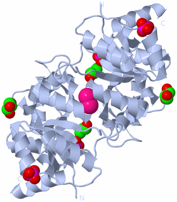 Image Biological Unit 1