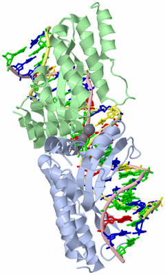 Image Asym./Biol. Unit - sites