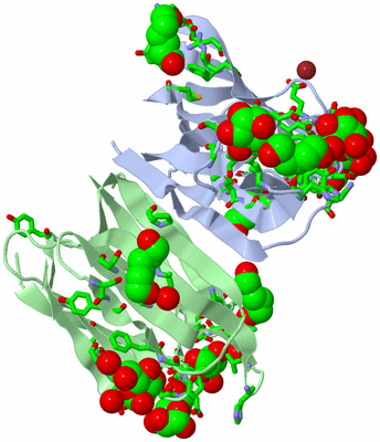 Image Asym./Biol. Unit - sites