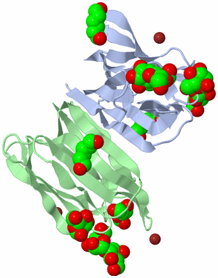 Image Asym./Biol. Unit