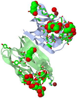 Image Asym./Biol. Unit - sites