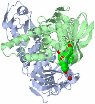 Image Biological Unit 3