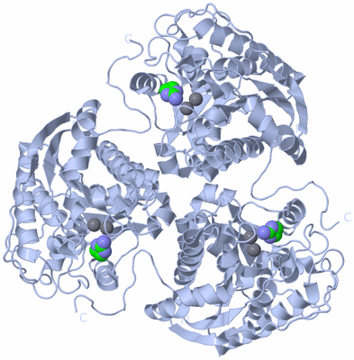 Image Biological Unit 1