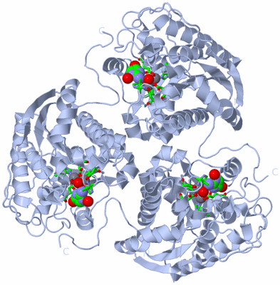 Image Biol. Unit 1 - sites