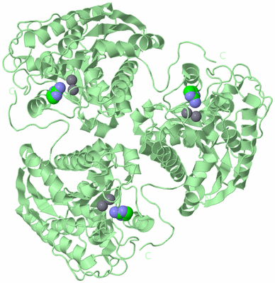 Image Biological Unit 2