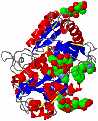 Image Asym./Biol. Unit